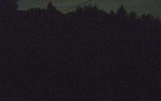 Laskowa pośredni - 02-05-2025 21:43