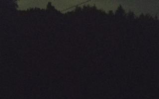 Laskowa pośredni - 02-05-2025 22:27
