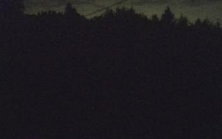 Laskowa pośredni - 03-05-2025 01:12