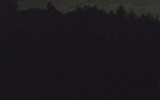 Laskowa pośredni - 03-05-2025 01:34