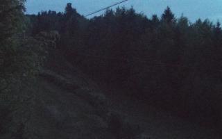 Laskowa pośredni - 03-05-2025 02:18