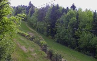 Laskowa pośredni - 03-05-2025 03:24