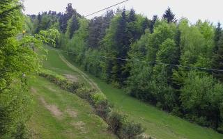 Laskowa pośredni - 03-05-2025 03:46