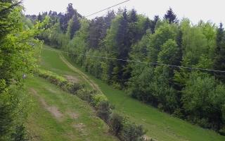 Laskowa pośredni - 03-05-2025 03:57