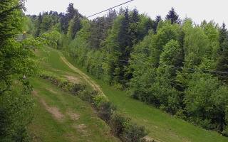 Laskowa pośredni - 03-05-2025 10:54