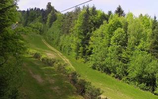 Laskowa pośredni - 03-05-2025 11:05