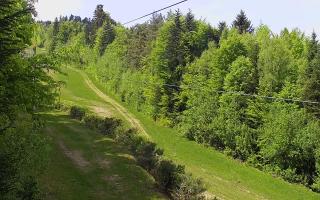 Laskowa pośredni - 03-05-2025 11:16
