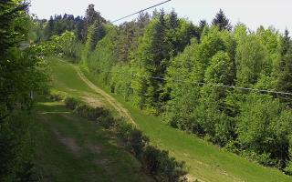 Laskowa pośredni - 03-05-2025 11:27