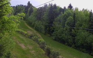 Laskowa pośredni - 03-05-2025 11:49