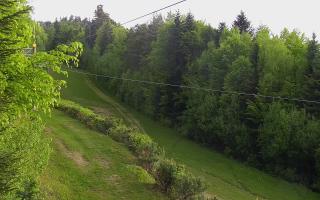 Laskowa pośredni - 03-05-2025 12:00
