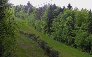 Laskowa pośredni - 03-05-2025 12:11
