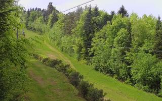 Laskowa pośredni - 03-05-2025 12:22