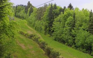 Laskowa pośredni - 03-05-2025 12:44