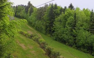 Laskowa pośredni - 03-05-2025 12:55