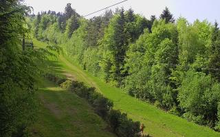 Laskowa pośredni - 03-05-2025 13:06