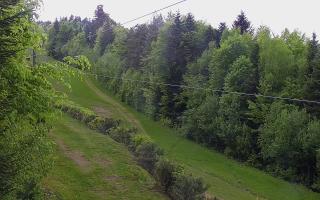 Laskowa pośredni - 03-05-2025 13:39