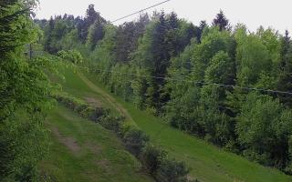 Laskowa pośredni - 03-05-2025 13:50