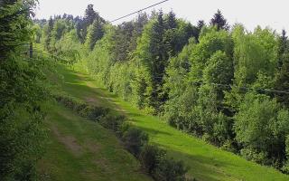 Laskowa pośredni - 03-05-2025 14:01