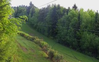 Laskowa pośredni - 04-05-2025 03:22