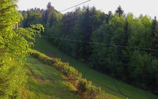 Laskowa pośredni - 04-05-2025 03:33