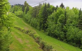 Laskowa pośredni - 04-05-2025 06:18