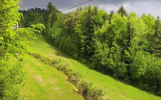 Laskowa pośredni - 04-05-2025 06:29