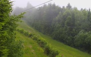 Laskowa pośredni - 16-06-2025 16:07