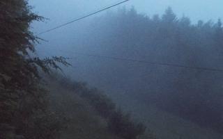Laskowa pośredni - 17-06-2025 01:53