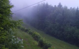 Laskowa pośredni - 17-06-2025 02:15