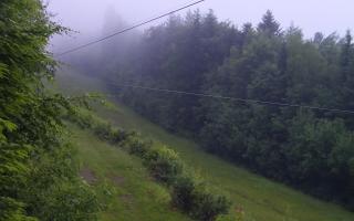 Laskowa pośredni - 17-06-2025 02:26