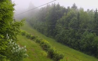 Laskowa pośredni - 17-06-2025 02:48