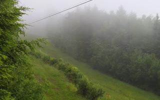 Laskowa pośredni - 17-06-2025 02:59
