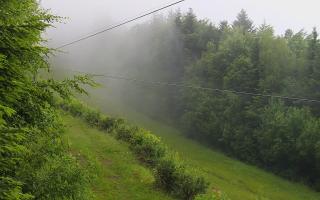 Laskowa pośredni - 17-06-2025 03:10