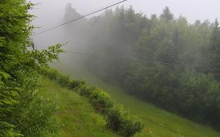 Laskowa pośredni - 17-06-2025 03:32