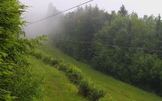 Laskowa pośredni - 17-06-2025 03:54