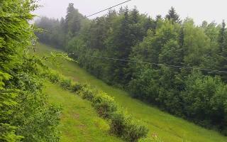 Laskowa pośredni - 17-06-2025 04:16