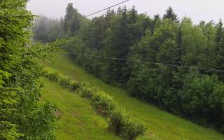 Laskowa pośredni - 17-06-2025 04:27