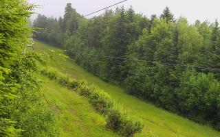 Laskowa pośredni - 17-06-2025 04:59
