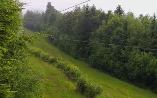 Laskowa pośredni - 17-06-2025 05:21