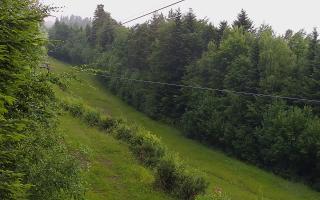 Laskowa pośredni - 17-06-2025 05:43