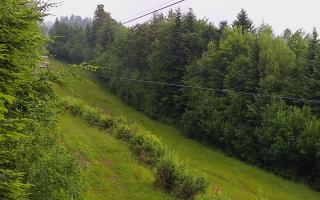 Laskowa pośredni - 17-06-2025 05:54