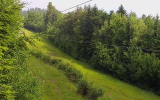 Laskowa pośredni - 17-06-2025 06:05