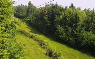 Laskowa pośredni - 17-06-2025 06:16