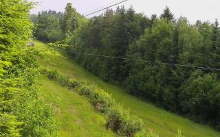 Laskowa pośredni - 17-06-2025 06:27