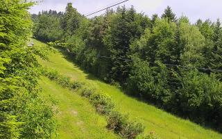 Laskowa pośredni - 17-06-2025 07:11