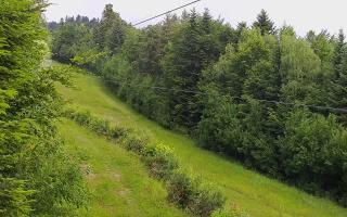 Laskowa pośredni - 17-06-2025 07:22