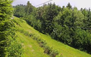 Laskowa pośredni - 17-06-2025 07:55