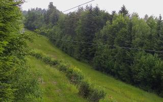 Laskowa pośredni - 17-06-2025 08:06