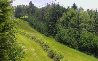 Laskowa pośredni - 17-06-2025 08:28