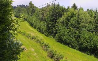 Laskowa pośredni - 17-06-2025 08:39